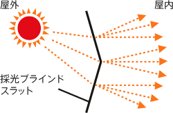 アカリナの光の拡散